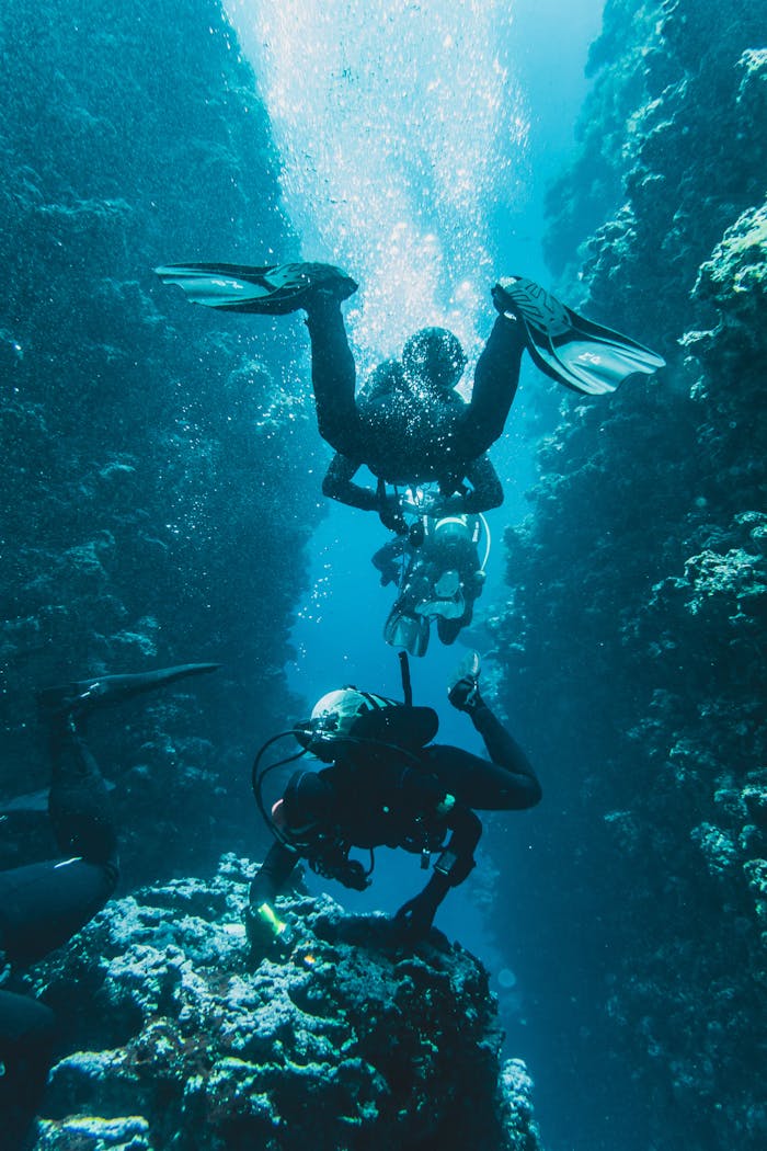 Scuba divers exploring a vibrant coral reef canyon, filled with marine life and bubbles.